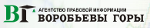 Воробьевы горы